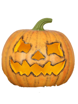 Comprar Calabaza de 20cm - Calabazas