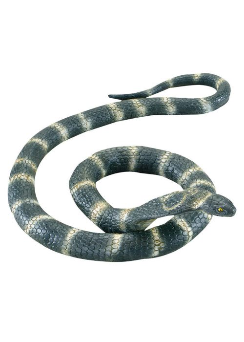 Serpiente Cobra Grande - Animales y Bichos