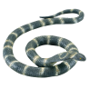 Serpiente Cobra Grande - Animales y Bichos