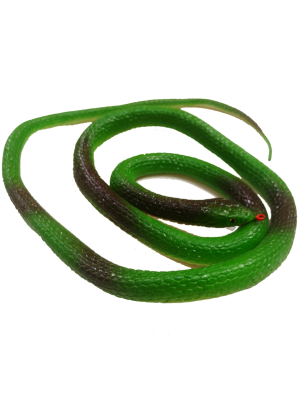 Serpiente Verde - Animales y Bichos