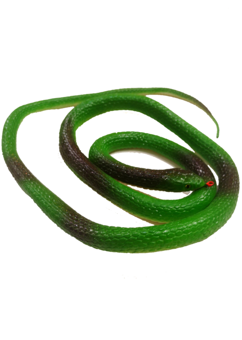Serpiente Verde - Animales y Bichos