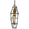 Jaula con Esqueleto - Calaveras y Esqueletos