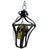 Farol Calavera - Calaveras y Esqueletos