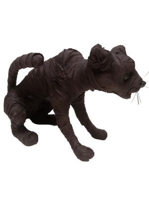 Gato Momia - Animales y Bichos