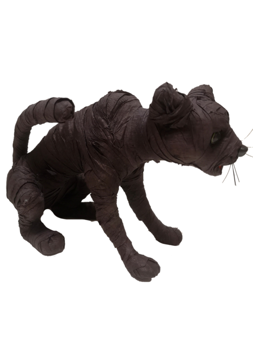 Cat Mòmia