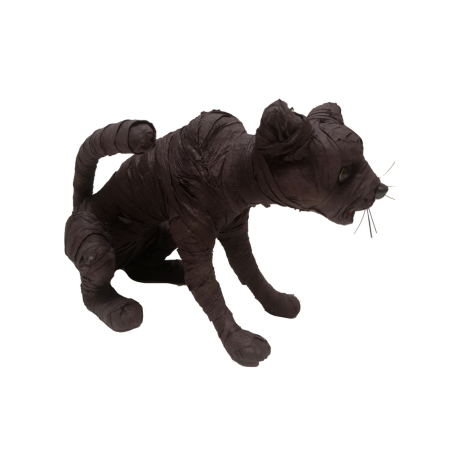 Cat Mòmia