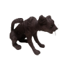 Cat Mòmia