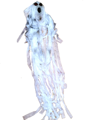Fantasma pingente Branco com correntes