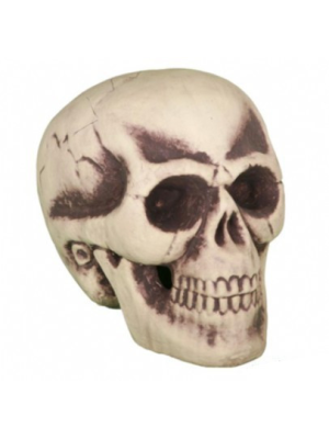 Comprar Calavera 30CM - Calaveras y Esqueletos