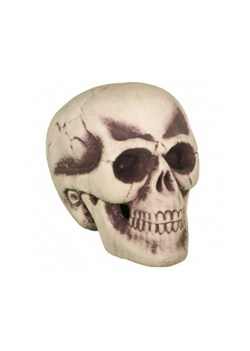 Calavera 30CM - Calaveras y Esqueletos