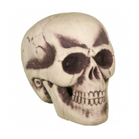 Calavera 30CM - Calaveras y Esqueletos