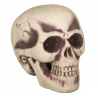 Calavera 30CM - Calaveras y Esqueletos