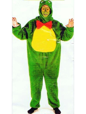 Vestit Granota Nen