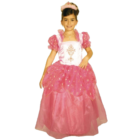 Disfraz de Pincesa Pinky - Disfraces de Princesas para Niñas