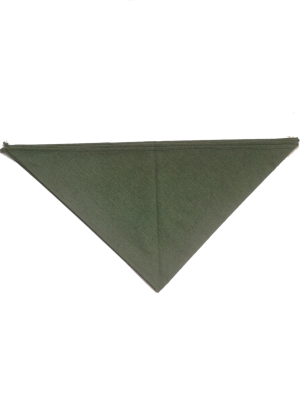 Pañuelo Casera Verde - Pañuelos y Delantales Regionales