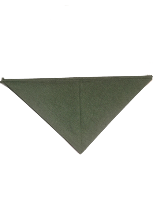 Pañuelo Casera Verde - Pañuelos y Delantales Regionales