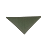 Pañuelo Casera Verde - Pañuelos y Delantales Regionales
