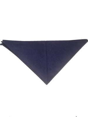 Pañuelo Casera Grande Azul - Pañuelos y Delantales Regionales