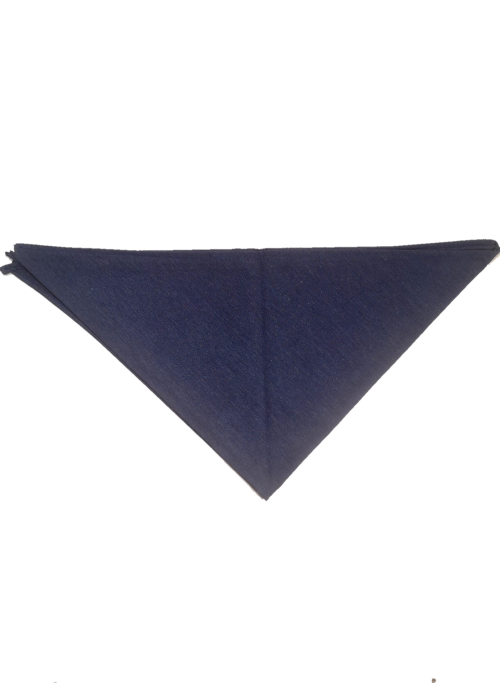 Pañuelo Casera Grande Azul - Pañuelos y Delantales Regionales