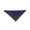 Pañuelo Casera Grande Azul - Pañuelos y Delantales Regionales