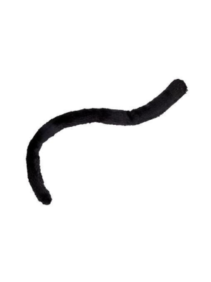 Cat's tail 
