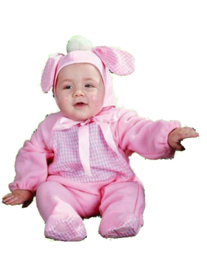 Comprar Disfraz de Perro Rosa Bebe - Disfraces de Animales Bebes