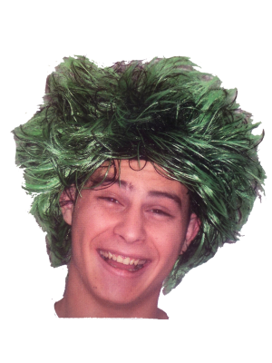 Peluca Despeinada Verde - Pelucas