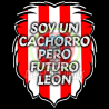 Vinilo Texti Zurigorri Cachorro Futuro Leon 15x15 - Marea Zurigorri