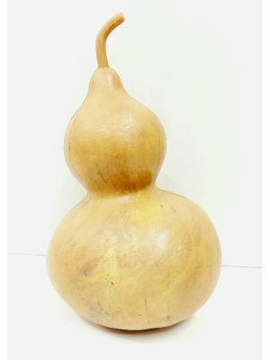 Comprar Calabaza Bañista Peregrino - Complementos de Marineros