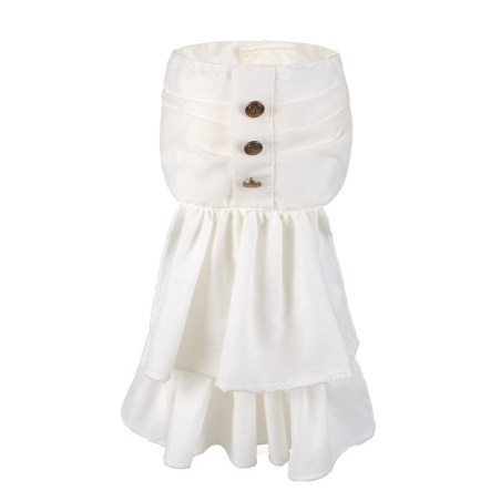 Pechera Steampunk