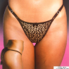 Tanga Leopard