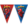 Banderines Triangulares de Spiderman - Fiestas de  Cumpleaños de Spiderman