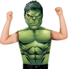 Camiseta y Mascara  Hulk - Fiestas de Cumpleaños de Superheroes