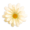 Margarita Blanca Decorativa - Complementos años 60-70 (Hippies)