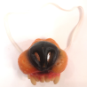 Morros de Lobo Latex - Complementos de Animales