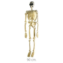 Comprar Esqueleto Fluor 90 cm - Calaveras y Esqueletos