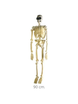 Esqueleto Fluor 90 cm - Calaveras y Esqueletos