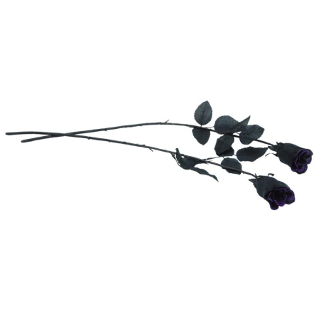 Rosa Negre amb Purpurina Porpra