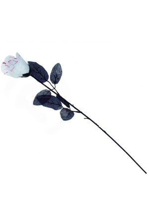 Rosa Blanca con Sangre - Otros