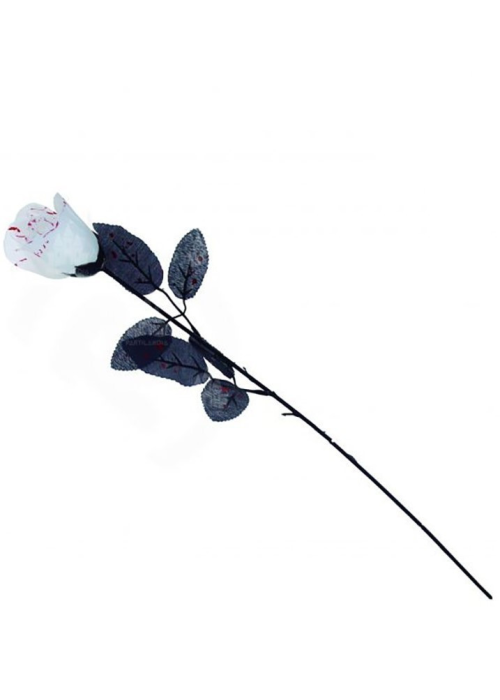 Rosa Blanca con Sangre