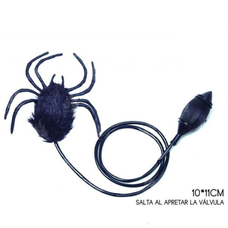Araña Saltarina - Animales y Bichos