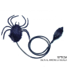 Araña Saltarina - Animales y Bichos