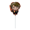 Globo Harry Potter con Palito - Fiesta de Cumpleaños de Harry Potter