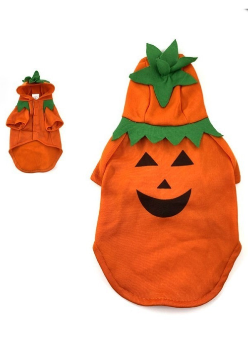 Disfraz de Calabaza para Perros - DISFRACES PARA PERROS