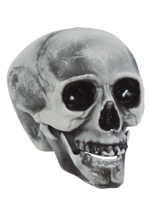 Calavera 20 cms - Calaveras y Esqueletos