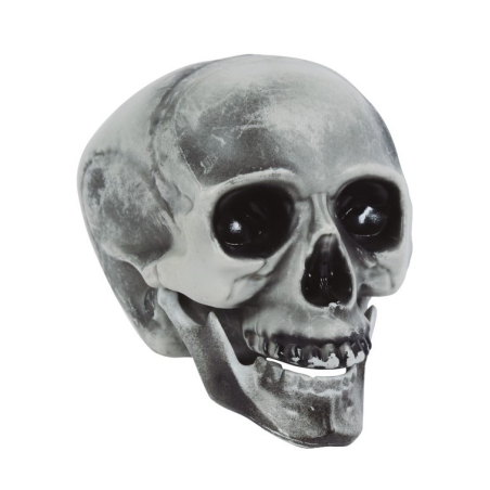 Calavera 20 cms - Calaveras y Esqueletos