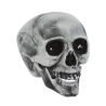 Calavera 20 cms - Calaveras y Esqueletos