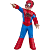 Disfraz de Spiderman SAF Preschool - Disfraces de Spiderman