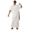 Disfraz de Romano Augusto - Disfraces de Romanos y Griegos para Hombres