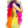 Boa Plumas Arcoiris - Dia Del Orgullo Gay